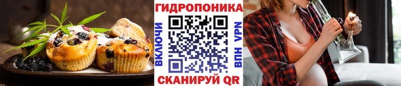 площадка телеграм  Льгов  Cannafood конопля 