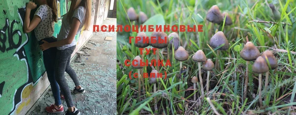 гашик Покров
