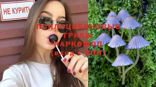 индика Пролетарск