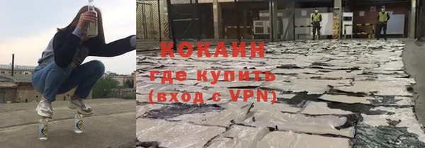 индика Пролетарск