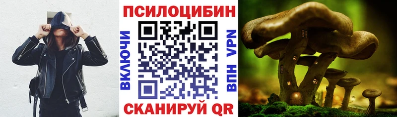 маркетплейс формула Льгов Галлюциногенные грибы мицелий